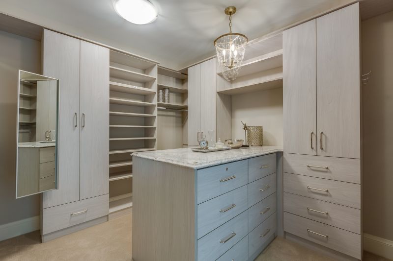 Cabinetry and Storage Solutions